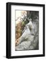 Doves Sitting on Tree Branch, in Chapultepec Park-John Dominis-Framed Photographic Print