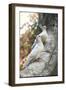 Doves Sitting on Tree Branch, in Chapultepec Park-John Dominis-Framed Photographic Print