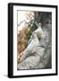 Doves Sitting on Tree Branch, in Chapultepec Park-John Dominis-Framed Photographic Print