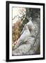 Doves Sitting on Tree Branch, in Chapultepec Park-John Dominis-Framed Photographic Print