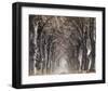 Down A Country Road-null-Framed Art Print