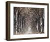 Down A Country Road-null-Framed Art Print