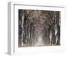 Down A Country Road-null-Framed Art Print