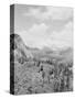 Down Bow Valley from Banff Springs Hotel, Alberta-null-Stretched Canvas