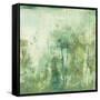 Down by the River II-Jodi Fuchs-Framed Stretched Canvas