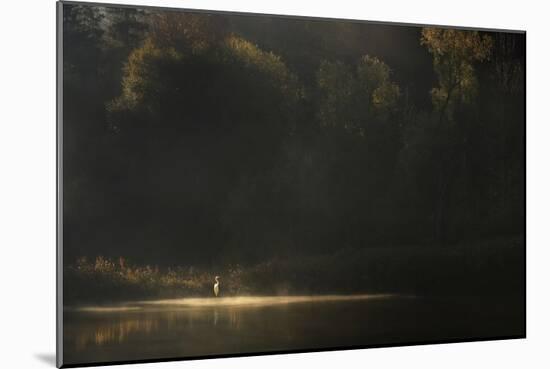 Down By The River-Norbert Maier-Mounted Giclee Print