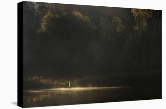 Down By The River-Norbert Maier-Stretched Canvas