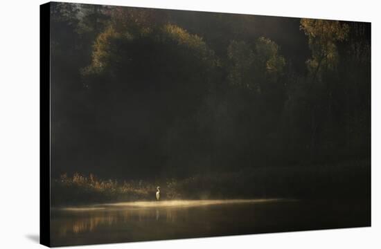 Down By The River-Norbert Maier-Stretched Canvas