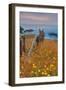 Down by the Sea Ranch-Vincent James-Framed Photographic Print