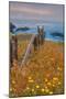 Down by the Sea Ranch-Vincent James-Mounted Photographic Print