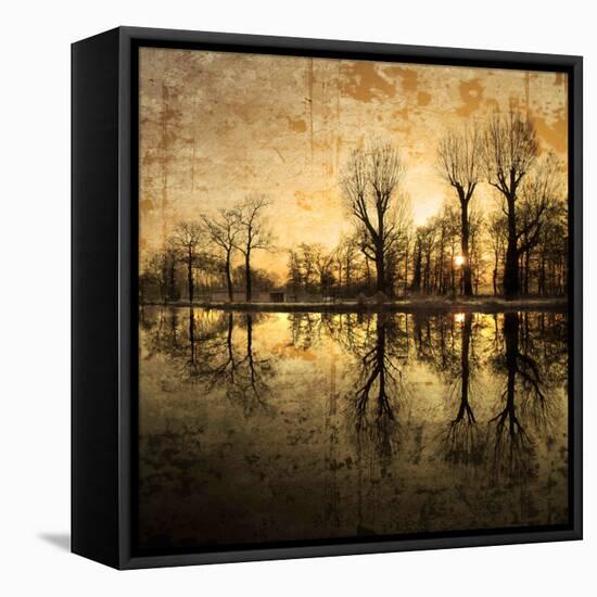 Down Deep into the Pain-Philippe Sainte-Laudy-Framed Stretched Canvas