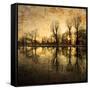 Down Deep into the Pain-Philippe Sainte-Laudy-Framed Stretched Canvas