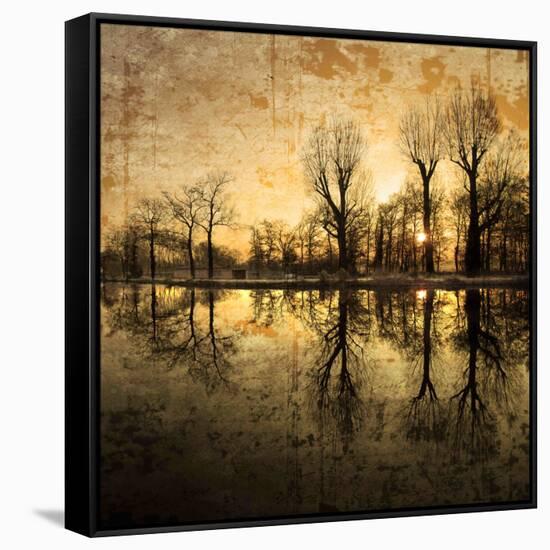 Down Deep into the Pain-Philippe Sainte-Laudy-Framed Stretched Canvas