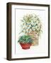 Down Home III-Kathleen Parr McKenna-Framed Art Print