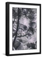 Down Into The Cascades, Yosemite National Park-Vincent James-Framed Photographic Print
