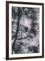 Down Into The Cascades, Yosemite National Park-Vincent James-Framed Photographic Print