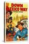 Down Mexico Way, Smiley Burnette, Fay Mckenzie, Gene Autry, 1941-null-Stretched Canvas