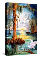 Down on the Bayou-Diane Millsap-Stretched Canvas