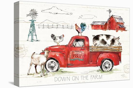 Down on the Farm II-Anne Tavoletti-Stretched Canvas