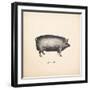 Down on the Farm III-Wild Apple Portfolio-Framed Art Print