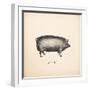 Down on the Farm III-Wild Apple Portfolio-Framed Art Print