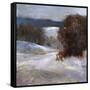 Down Slope-Sheila Finch-Framed Stretched Canvas