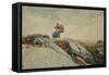 Down the Cliff, 1883-Winslow Homer-Framed Stretched Canvas