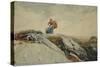 Down the Cliff, 1883-Winslow Homer-Stretched Canvas