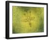 Down the More Troubling Bird-Paul Klee-Framed Giclee Print