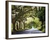 Down the Rabbit Hole-Bruce Nawrocke-Framed Art Print