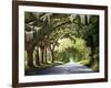 Down the Rabbit Hole-Bruce Nawrocke-Framed Art Print