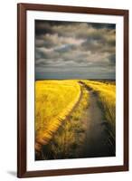 Down the Road-Aledanda-Framed Art Print