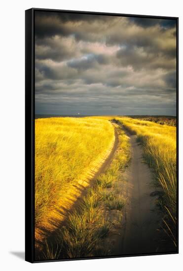 Down the Road-Aledanda-Framed Stretched Canvas