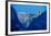 Down The Valley Yosemite-Steve Gadomski-Framed Photographic Print