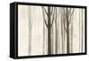 Down to the Woods on White Crop-Avery Tillmon-Framed Stretched Canvas