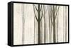 Down to the Woods on White Crop-Avery Tillmon-Framed Stretched Canvas