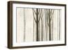 Down to the Woods on White Crop-Avery Tillmon-Framed Art Print