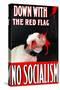 Down With The Red Flag-No Socialism-LSE Library-Stretched Canvas