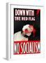 Down With The Red Flag-No Socialism-LSE Library-Framed Art Print