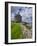 Downhill, County Derry, Ulster, Northern Ireland-Carsten Krieger-Framed Photographic Print