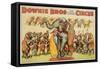 Downie Bros. Big 3 Ring Circus Poster-null-Framed Stretched Canvas