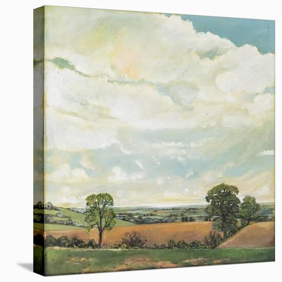 Downland Sky, 2001-Margaret Hartnett-Stretched Canvas