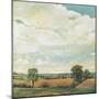 Downland Sky, 2001-Margaret Hartnett-Mounted Giclee Print