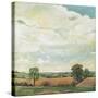 Downland Sky, 2001-Margaret Hartnett-Stretched Canvas