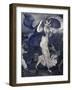 Downpour, c.1906-Leon Bakst-Framed Giclee Print