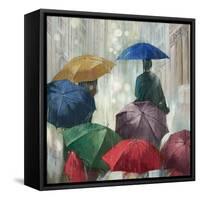 Downpour-Anna Polanski-Framed Stretched Canvas