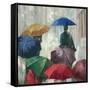 Downpour-Anna Polanski-Framed Stretched Canvas