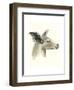 Downton Animals I-Grace Popp-Framed Art Print