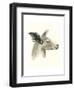 Downton Animals I-Grace Popp-Framed Art Print