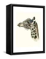 Downton Animals II-Grace Popp-Framed Stretched Canvas